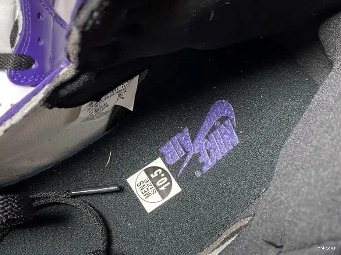 Rep TB Air Jordan 555088-500 OG Court High Purple 1 0616